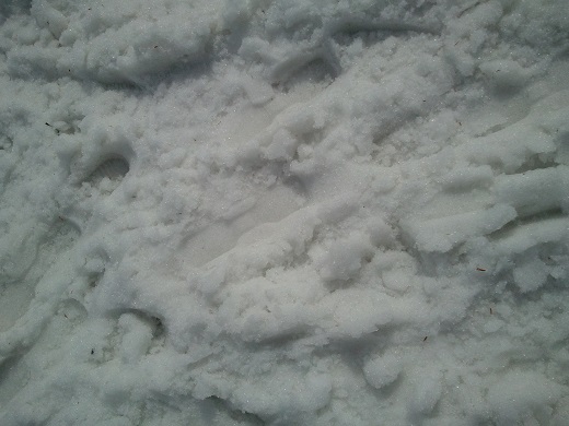月山スキー場のゲレンデについた足跡
